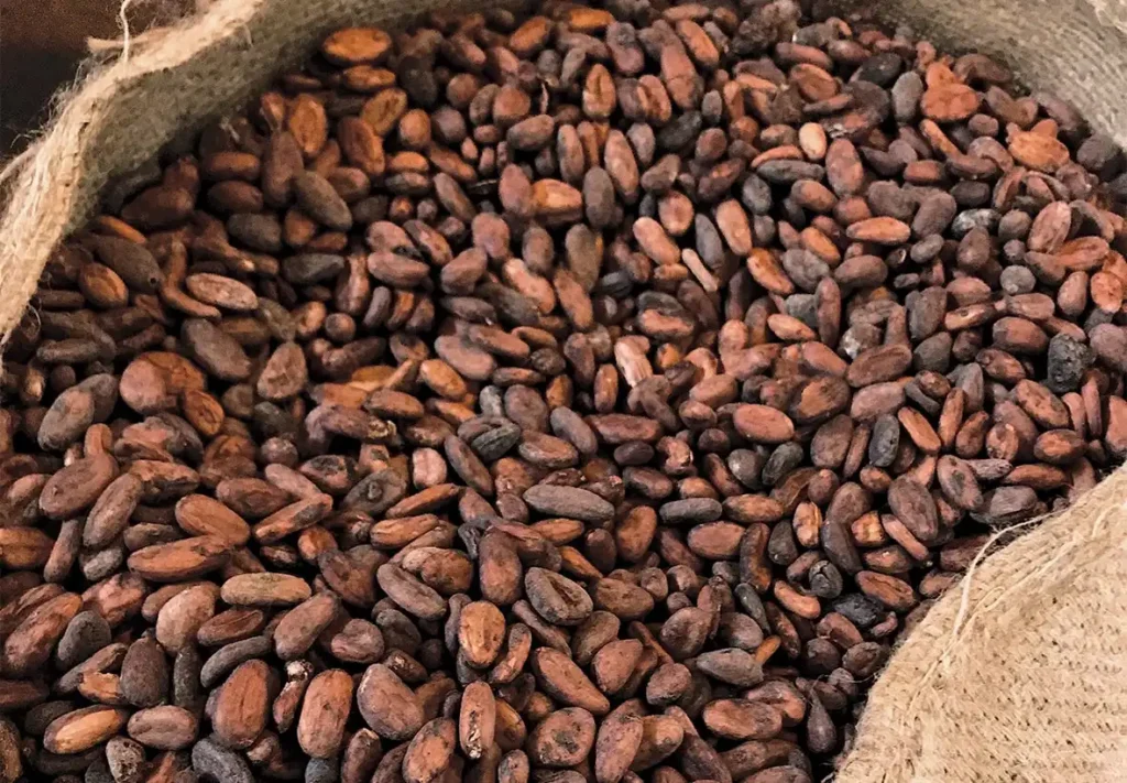 Cocoa Prices Surge to $9,187 as Nigeria Pursues Economic Diversification