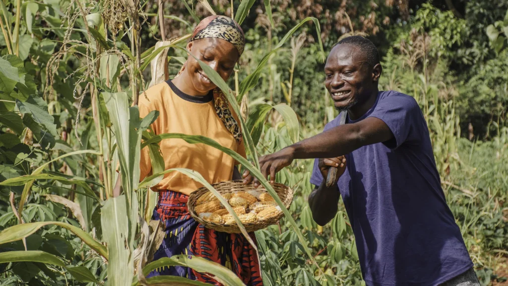 Bridging the Distribution Gap in Nigerian Agriculture