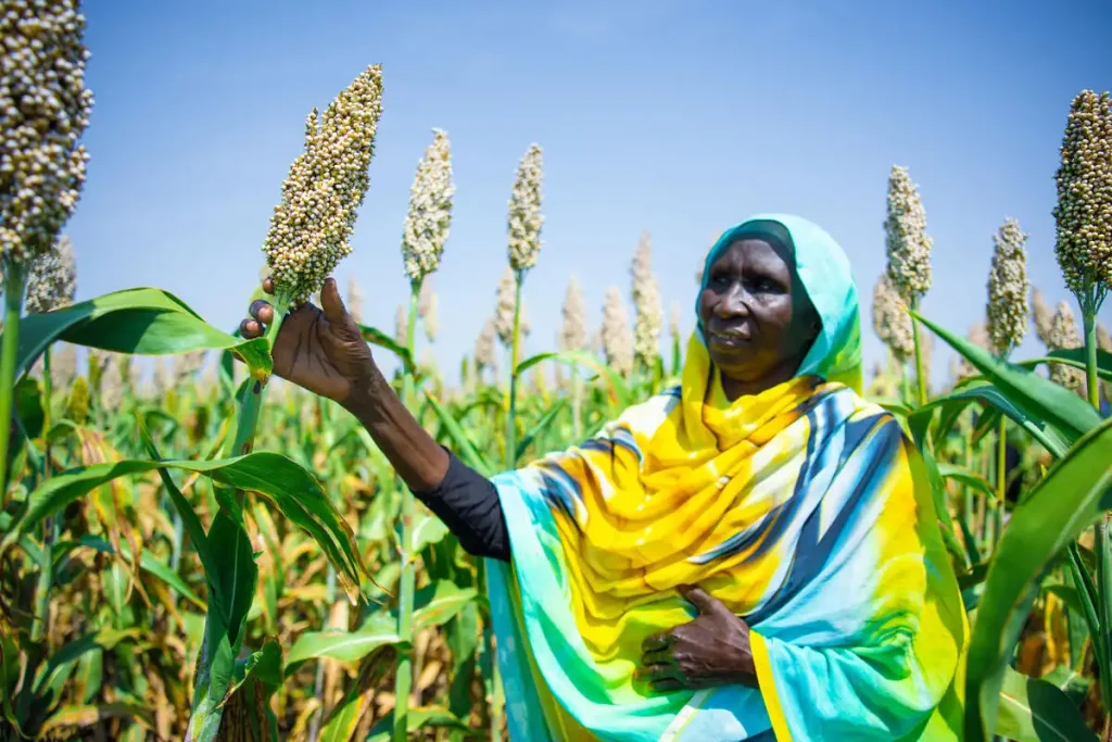 agriculture