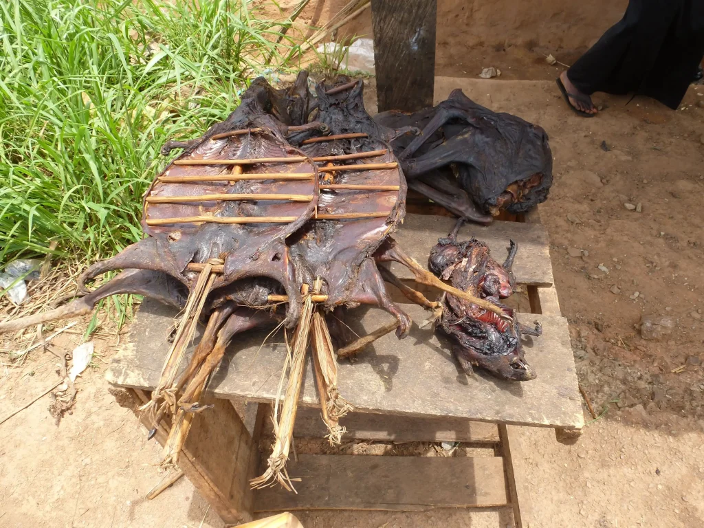bush meat