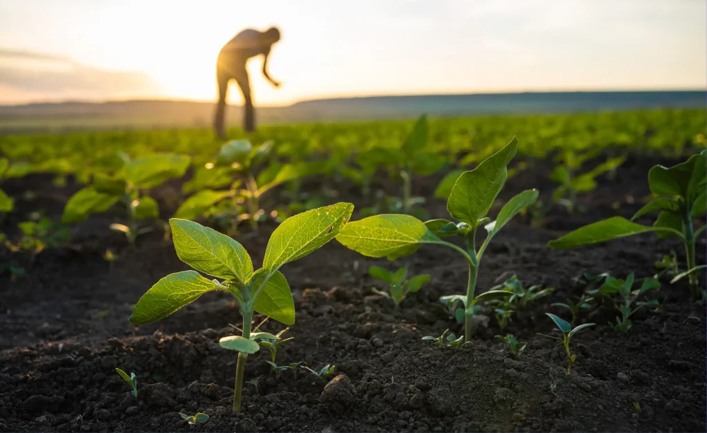 Nigeria and EU_agriculture
