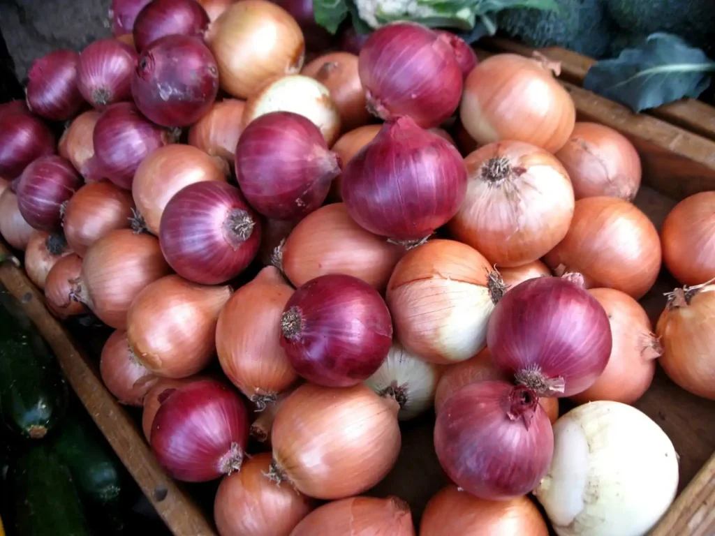 onions