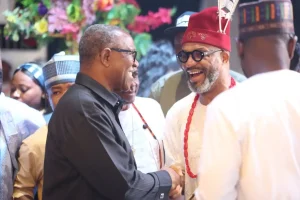 Peter Obi, Tambuwal, Tonye Cole Join Dignitaries at Amaechi’s Son’s Wedding 