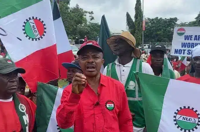 Grid Collapse: NLC Reveals Why Power Sector is Crippled